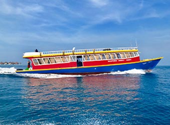 Public Ferry Transfer