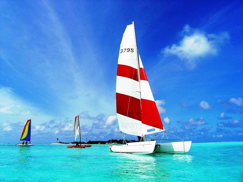 Catamaran-Sailing.jpg