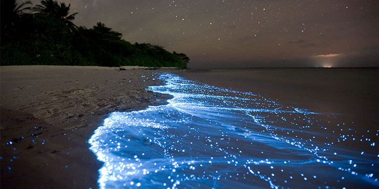 Glow-in-the-Dark-Beach.jpg