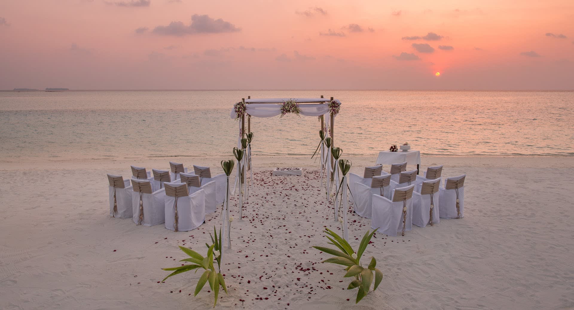 sun wedding tours maldives