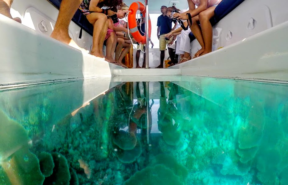 Glass Bottom Boating in Maldives.