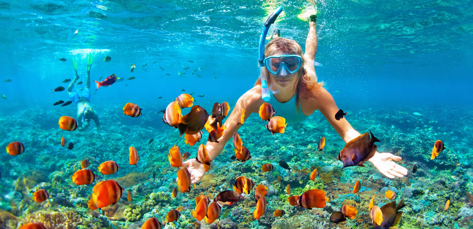 Snorkeling in Maldives