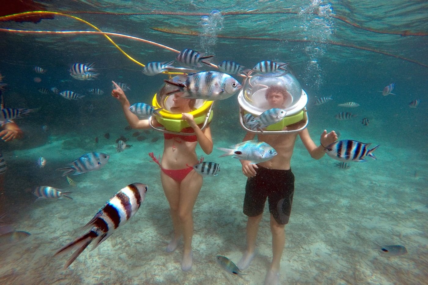 Underwater Walking in Maldives