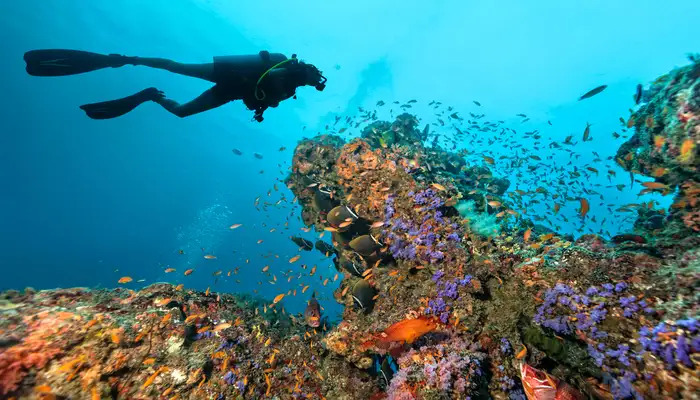 Greatest Islands in the Maldives for Scuba Diving