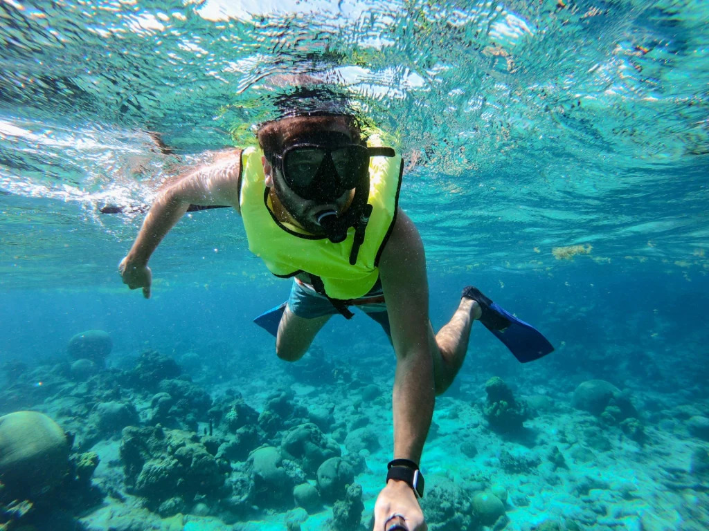 best-snorkeling-in-the-world-buck-island-st.-croix-snorkel-1024x768.jpg