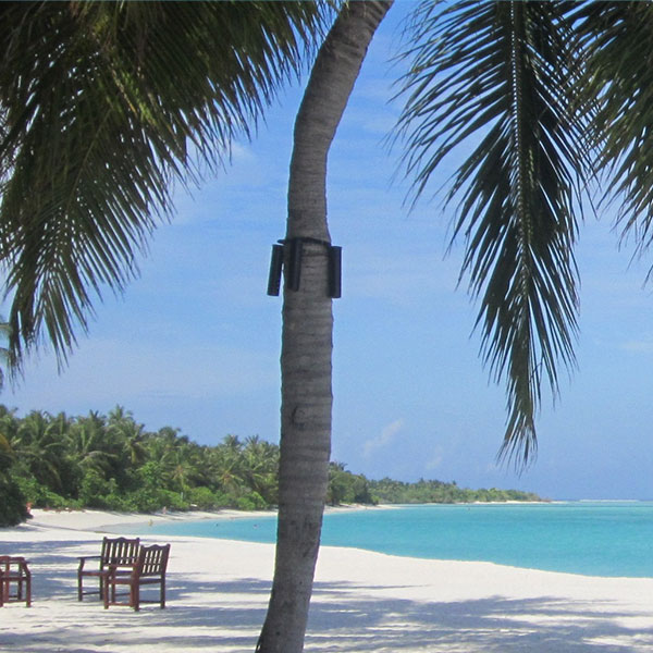 Nalaguraidhoo Island