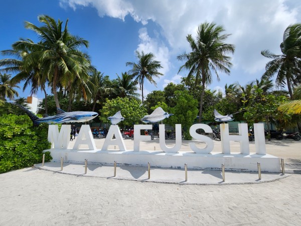 Coral Dreams: Maafushi Highlights Package